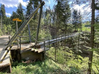 Cholere-Hängebrücke-oberhalb-Thun