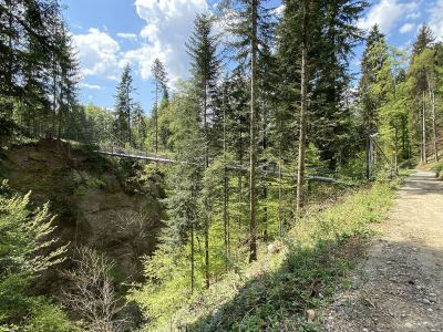 Cholere-Drahtseilbrücke-oberhalb-Thun