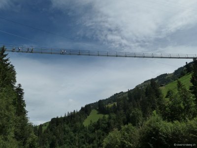 Hostaldenhängebrücke