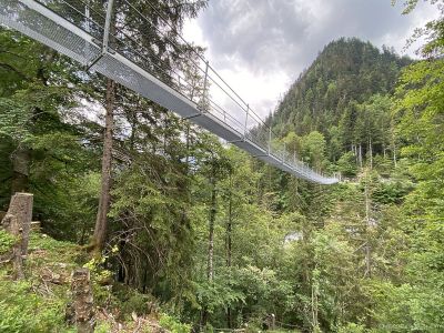 Simmental-Leiternweide-Hängebrücke